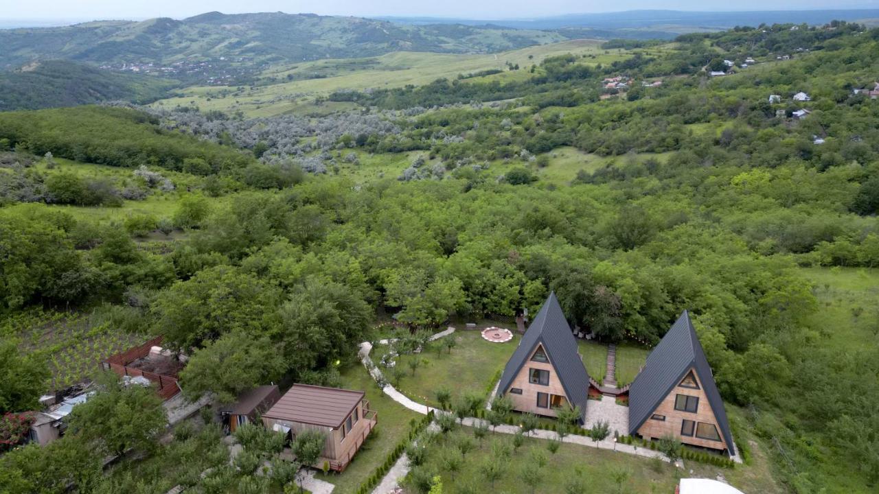 Arta Chalet Ceptura de Jos Extérieur photo